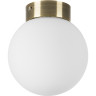 Потолочный светильник LIGHTSTAR GLOBO 812011