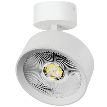 Светильник накладной LIGHTSTAR ALTA PRO A5736SO