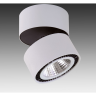 Светильник накладной LIGHTSTAR FORTE MURO 214830