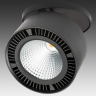 Встраиваемый светильник LIGHTSTAR Forte Inca 214827